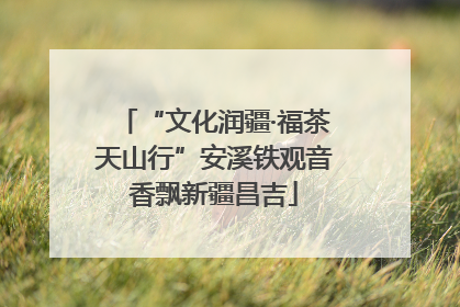 “文化润疆·福茶天山行”安溪铁观音香飘新疆昌吉